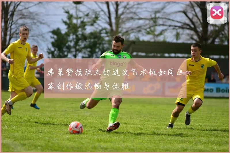 弗莱赞扬欧文的进攻艺术性如同画家创作般流畅与优雅